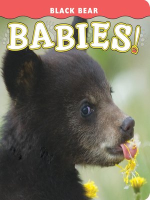 cover image of Black Bear Babies!